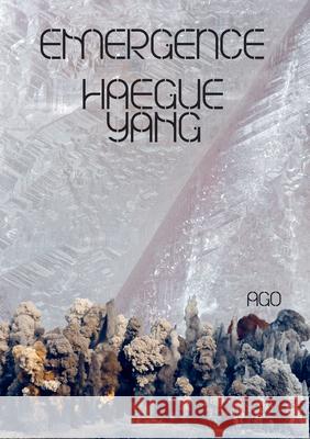 Haegue Yang: Emergence Vlas, Adelina 9783791359656 Prestel Publishing - książka