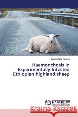 Haemonchosis in Experimentally Infected Ethiopian Highland Sheep Hailu Tolossa Yacob 9783659379550 LAP Lambert Academic Publishing - książka