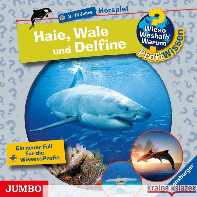 Haie, Wale und Delfine, 1 Audio-CD : CD Standard Audio Format, Hörspiel Kienle, Dela 9783833739422 Jumbo Neue Medien - książka