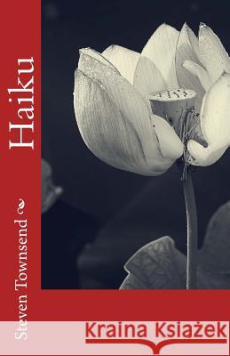 Haiku MR Steven Roy Townsend 9781475007510 Createspace - książka