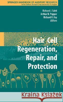 Hair Cell Regeneration, Repair, and Protection Arthur N. Popper Richard R. Fay 9780387733630 Springer - książka