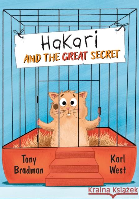 Hakari and the Great Secret: Fluency 3 Tony Bradman 9780008624644 HarperCollins Publishers - książka