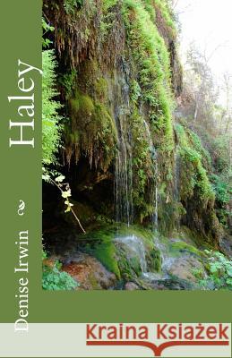Haley Denise Irwin 9781514381441 Createspace - książka