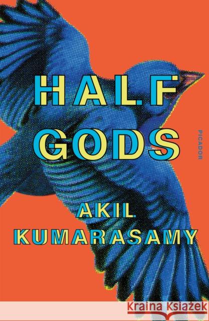 Half Gods Akil Kumarasamy 9781250214959 Picador USA - książka