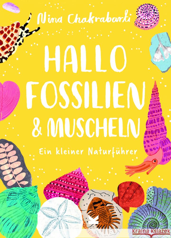 Hallo Fossilien & Muscheln Chakrabarti, Nina 9783962444242 Laurence King Verlag GmbH - książka