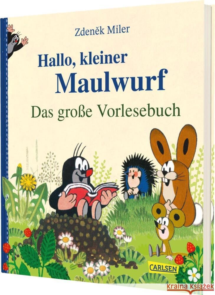 Hallo, kleiner Maulwurf! Das große Vorlesebuch Miler, Zdenek, Sörensen, Hanna 9783551523211 Carlsen - książka