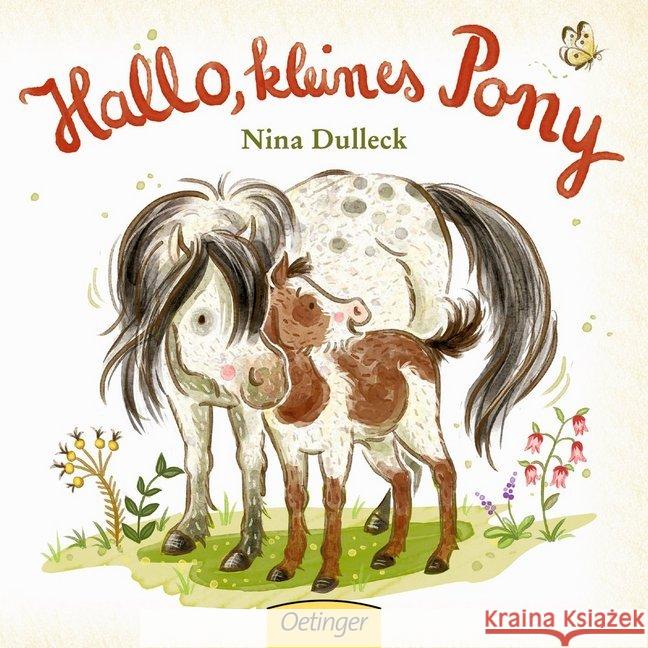 Hallo, kleines Pony! Dulleck, Nina 9783789108488 Oetinger - książka