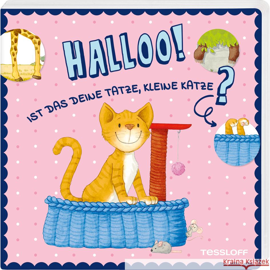 Halloo! Ist das deine Tatze, kleine Katze? Linster, Bianca 9783788645748 Tessloff Verlag Ragnar Tessloff GmbH & Co. KG - książka