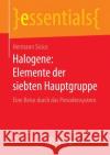 Halogene: Elemente Der Siebten Hauptgruppe: Eine Reise Durch Das Periodensystem Sicius, Hermann 9783658101893 Springer Spektrum