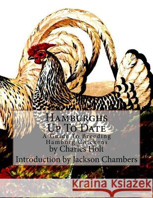 Hamburghs Up To Date: A Guide To Breeding Hamburg Chickens Chambers, Jackson 9781546302162 Createspace Independent Publishing Platform - książka