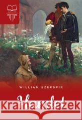 Hamlet TW William Szekspir 9788382223736 SBM - książka