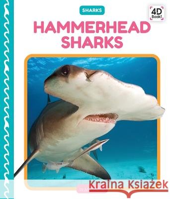 Hammerhead Sharks Julie Murray 9781098244248 Cody Koala - książka