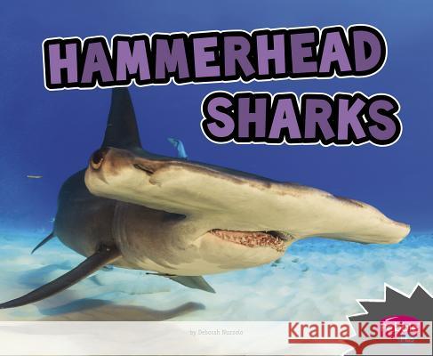 Hammerhead Sharks Deborah Nuzzolo 9781515770091 Capstone Press - książka