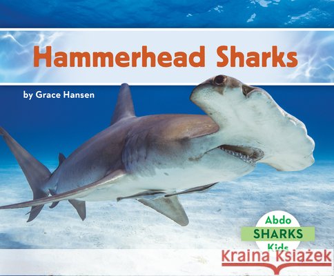 Hammerhead Sharks Hansen, Grace 9798384909927 Abdo Kids Jumbo - książka