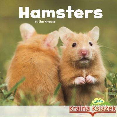 Hamsters Lisa J. Amstutz 9781543501667 Capstone Press - książka