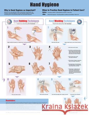 Hand Hygiene Anatomical Chart Company C. Glen Mayhall  9781451193381 Lippincott Williams and Wilkins - książka