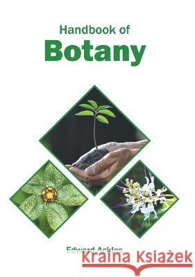 Handbook of Botany Edward Ackles 9781639872756 Murphy & Moore Publishing - książka