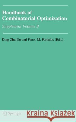 Handbook of Combinatorial Optimization: Supplement Volume B Du, Ding-Zhu 9780387238296 Springer - książka