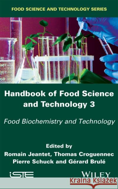 Handbook of Food Science and Technology 3: Food Biochemistry and Technology Jeantet, Romain; Croguennec, Thomas; Schuck, Pierre 9781848219342 John Wiley & Sons - książka