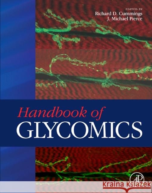 Handbook of Glycomics Richard Cummings 9780123736000  - książka