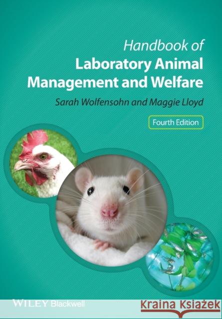 Handbook of Laboratory Animal Management and Welfare Sarah Wolfensohn 9780470655498  - książka
