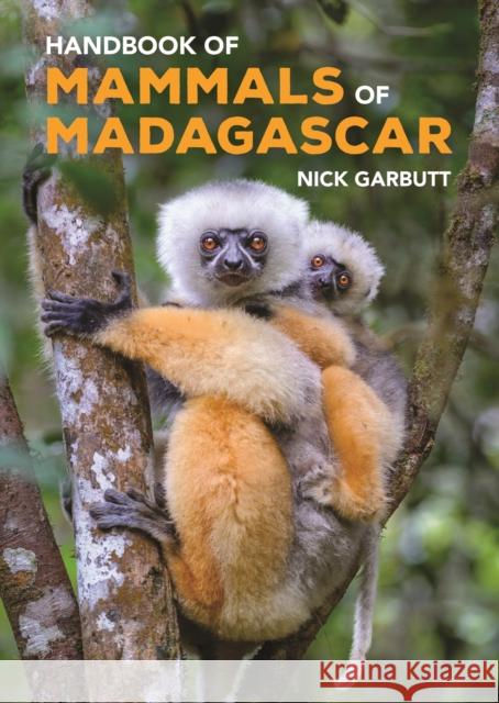 Handbook of Mammals of Madagascar Nick Garbutt 9780691239910 Princeton University Press - książka