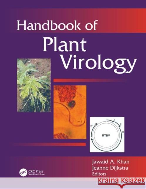 Handbook of Plant Virology Jawaid A. Khan Jeanne Dijkstra 9781560229797 Food Products Press - książka