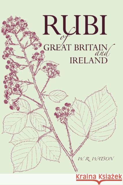 Handbook of the Rubi of Great Britain and Ireland W. C. R. Watson 9781107642294 Cambridge University Press - książka