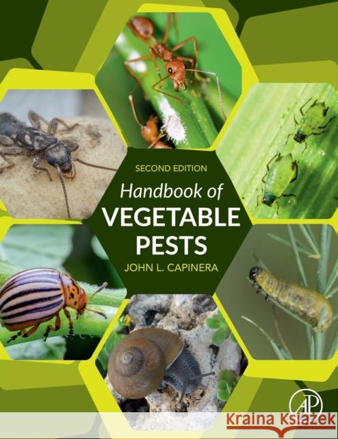 Handbook of Vegetable Pests John Capinera 9780128144886 Academic Press - książka