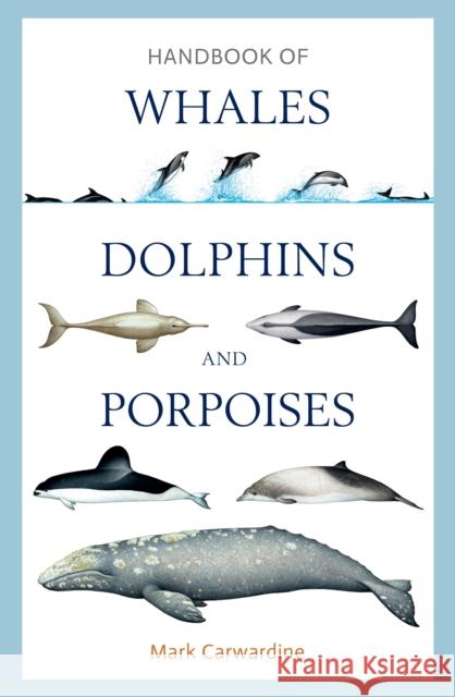 Handbook of Whales, Dolphins and Porpoises Mark Carwardine 9781472908148 Bloomsbury Wildlife - książka
