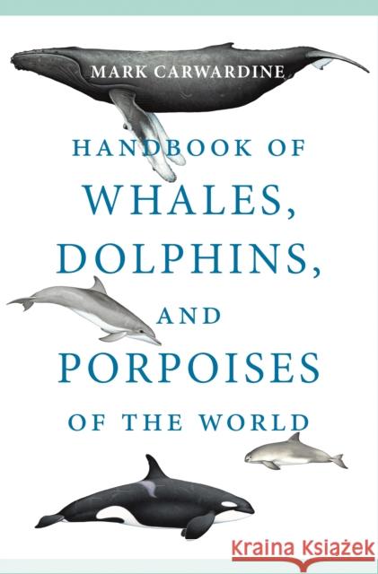 Handbook of Whales, Dolphins, and Porpoises of the World Mark Carwardine 9780691202105 Princeton University Press - książka