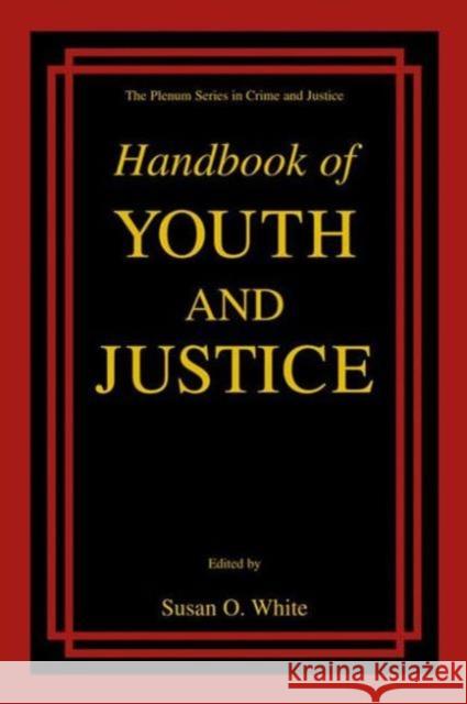 Handbook of Youth and Justice Susan O Susan O. White 9781461354802 Springer - książka