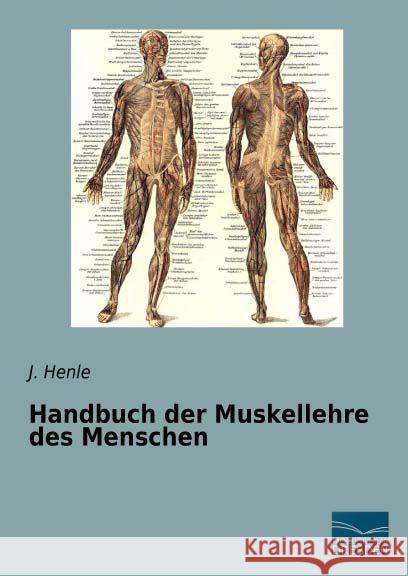 Handbuch der Muskellehre des Menschen Henle, J. 9783956927522 Fachbuchverlag-Dresden - książka