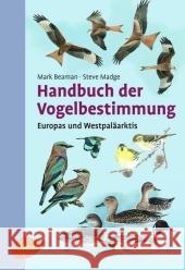 Handbuch der Vogelbestimmung : Europa und Westpaläarktis Beaman, Mark Madge, Steve  9783800154944 Ulmer (Eugen) - książka