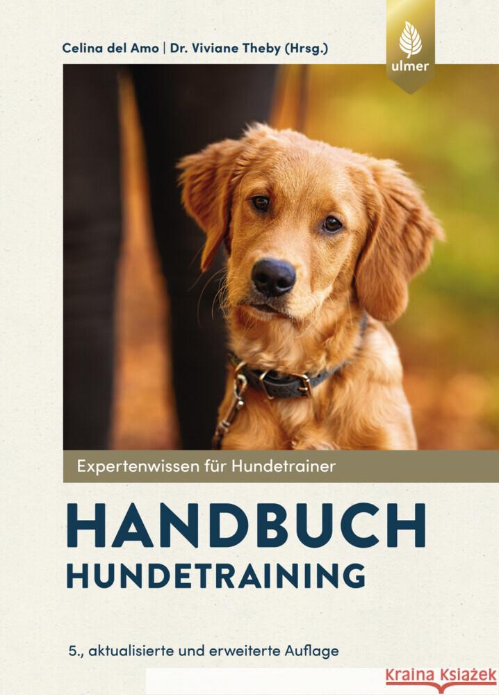 Handbuch Hundetraining Del Amo, Celina, Theby, Viviane 9783818624613 Verlag Eugen Ulmer - książka