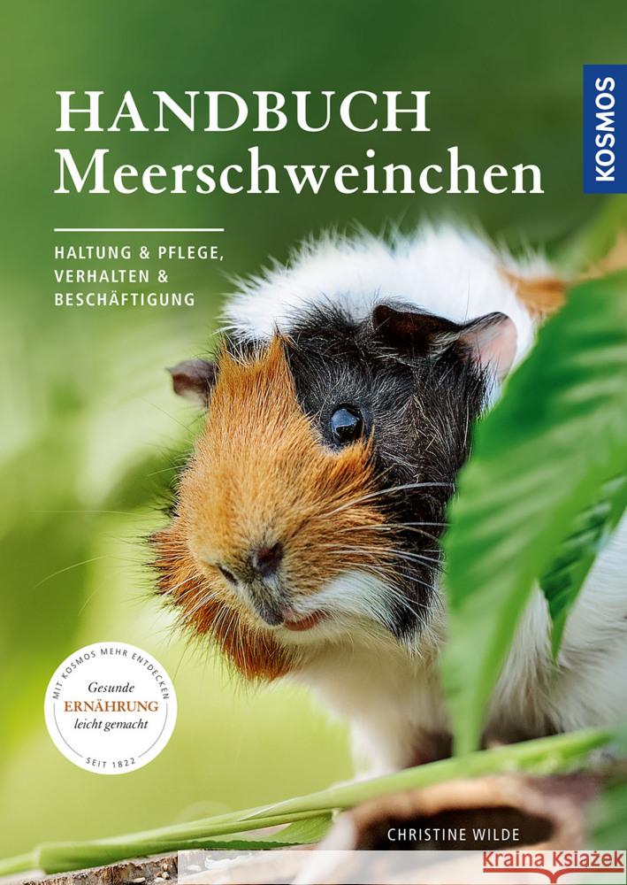 Handbuch Meerschweinchen Wilde, Christine 9783440169995 Kosmos (Franckh-Kosmos) - książka