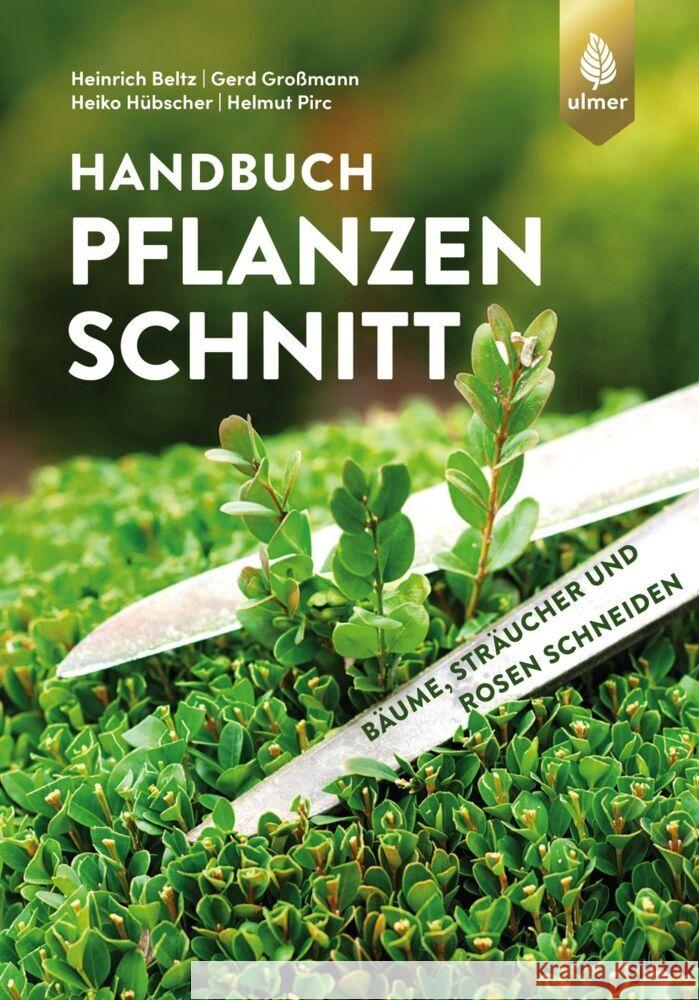 Handbuch Pflanzenschnitt Beltz, Heinrich, Großmann, Gerd, Hübscher, Heiko 9783818614348 Verlag Eugen Ulmer - książka