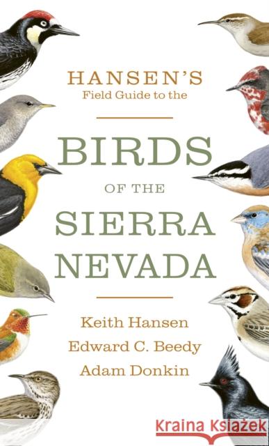 Hansen's Field Guide to the Birds of the Sierra Nevada Keith Hansen Edward C. Beedy Adam Donkin 9781597145336 Heyday Books - książka