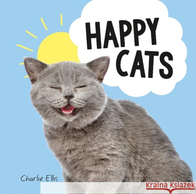 Happy Cats: Photos of Felines Feeling Fab Charlie Ellis 9781786852779 Octopus Publishing Group - książka