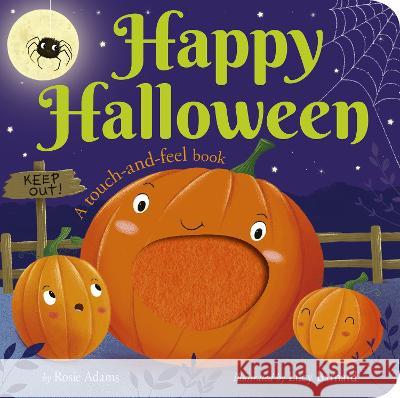 Happy Halloween: A Touch-And-Feel Book Rosie Adams Lucy Barnard 9781664350809 Tiger Tales - książka