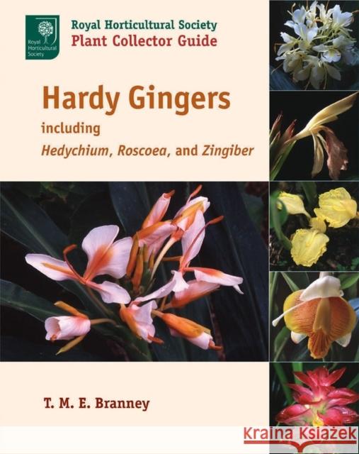 Hardy Gingers: Including Hedychium, Roscoea, and Zingiber Branney, T. M. E. 9781604691733 Timber Press (OR) - książka