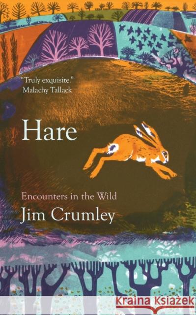 Hare Jim Crumley 9781916812659 Saraband / Contraband - książka