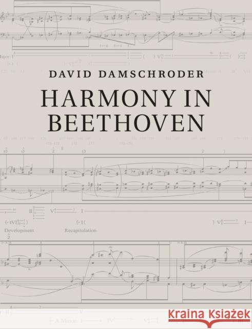 Harmony in Beethoven David Damschroder 9781316500620 Cambridge University Press - książka