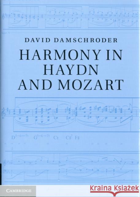 Harmony in Haydn and Mozart David Damschroder 9781107025349  - książka