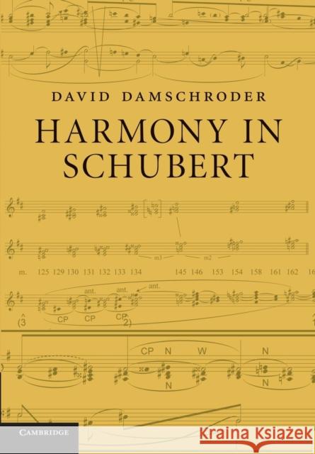 Harmony in Schubert David Damschroder 9781107442580 Cambridge University Press - książka