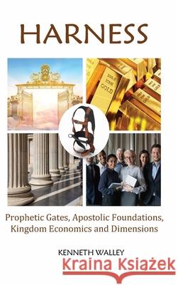 Harness Kenneth Walley 9780996459099 Cibunet Corporation - książka