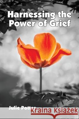 Harnessing the Power of Grief Julie Potter 9781950328147 Msi Press - książka