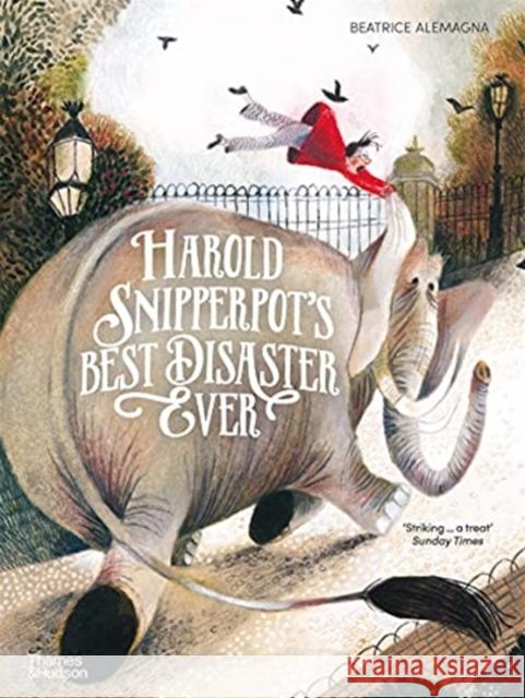 Harold Snipperpot’s Best Disaster Ever Beatrice Alemagna 9780500652503 Thames & Hudson Ltd - książka