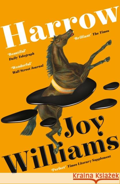 Harrow Joy Williams 9781800810020 Profile Books Ltd - książka