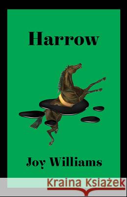 Harrow Joy Williams 9781984898807 Vintage - książka